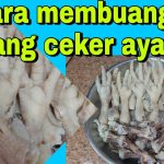 Tips Praktis Membuang Tulang Ceker Ayam Agar Tetap Utuh