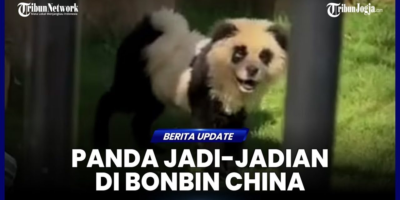 Kebun Binatang Di China Pakai Video Lama Demi Donasi