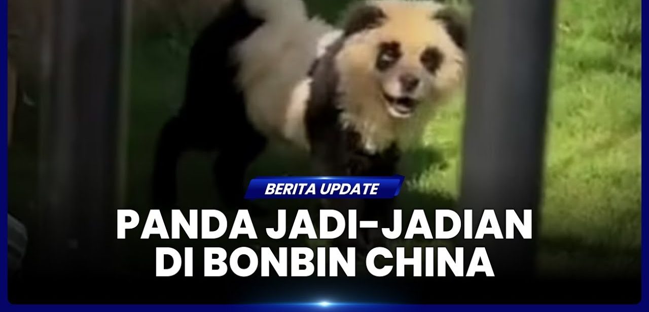 Kebun Binatang Di China