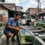 Peluang Usaha Ternak Tidak Berisik Di Rumah Subsidi