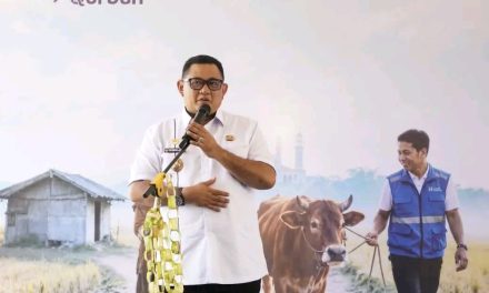 Lombok Utara Jadi Lokasi Penerima Program Sebar Qurban 2026