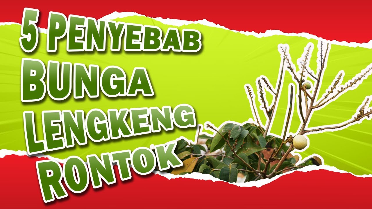 Petani Wajib Tahu