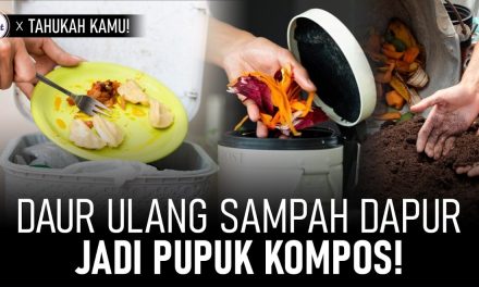 Sampah Dapur Daur Ulang Bisa Jadi Pupuk Organik, Ini Faktanya!