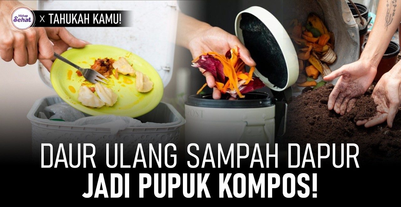 Sampah Dapur Daur Ulang