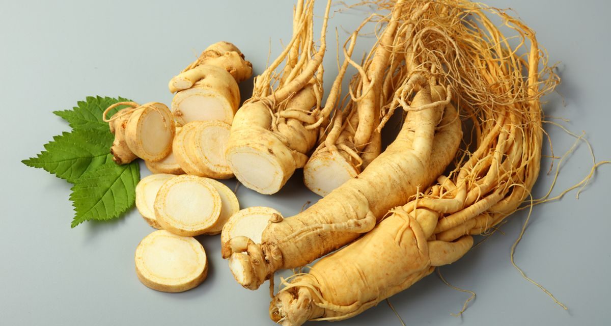 Manfaat Akar Ginseng, Rahasia Herbal Untuk Daya Tahan Tubuh