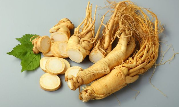 Manfaat Akar Ginseng, Rahasia Herbal Untuk Daya Tahan Tubuh
