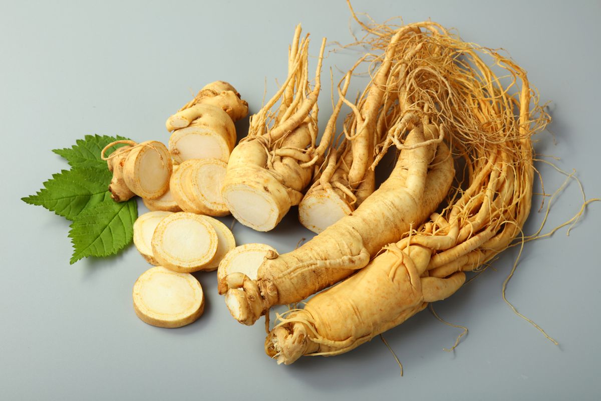 Manfaat Akar Ginseng