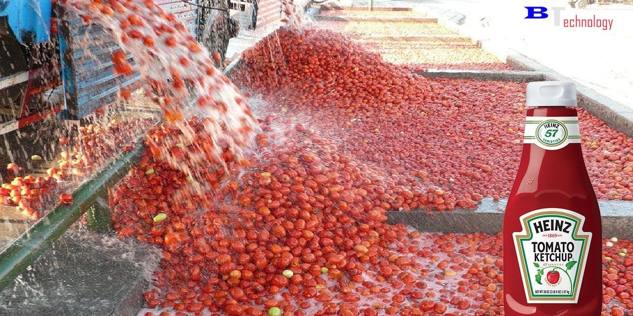 Tak Sekadar Pelengkap, Inilah Alasan Saus Tomat Begitu Penting
