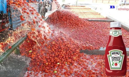 Tak Sekadar Pelengkap, Inilah Alasan Saus Tomat Begitu Penting