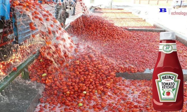Tak Sekadar Pelengkap, Inilah Alasan Saus Tomat Begitu Penting