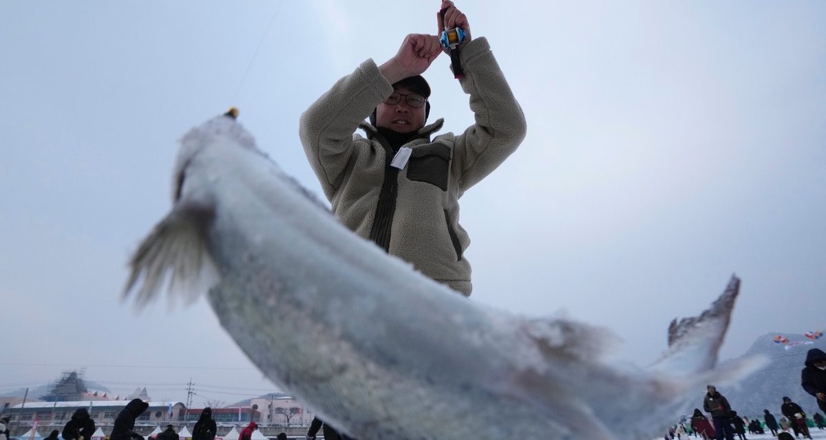 Menjelajah Tradisi Unik Memancing Ikan Di Atas Es Hwacheon