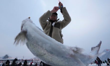 Menjelajah Tradisi Unik Memancing Ikan Di Atas Es Hwacheon