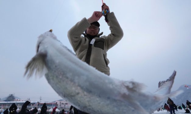 Menjelajah Tradisi Unik Memancing Ikan Di Atas Es Hwacheon
